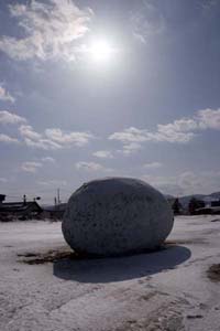 花の映像がたまごに投影された様子